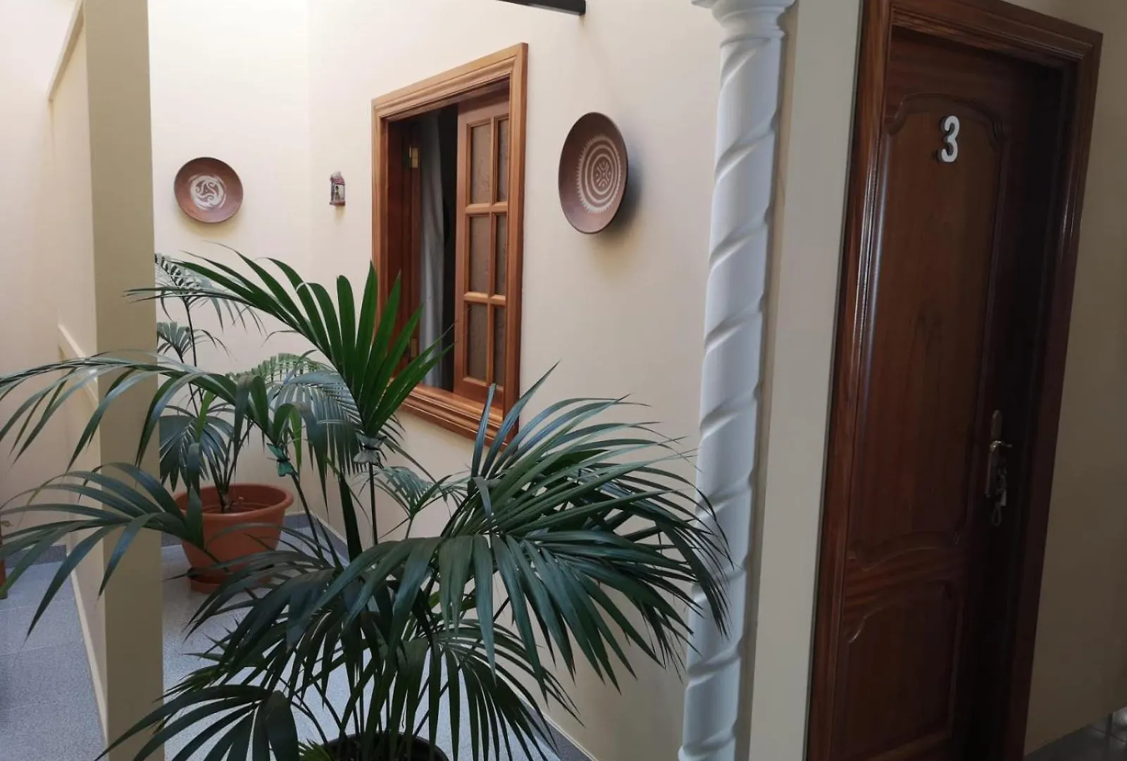 Guest house Vivienda El Timon Hotel Ingenio